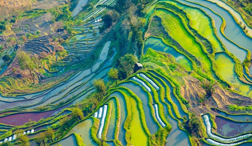宝妈必备神器：茂南区产品视频拍摄轻松育儿好帮手