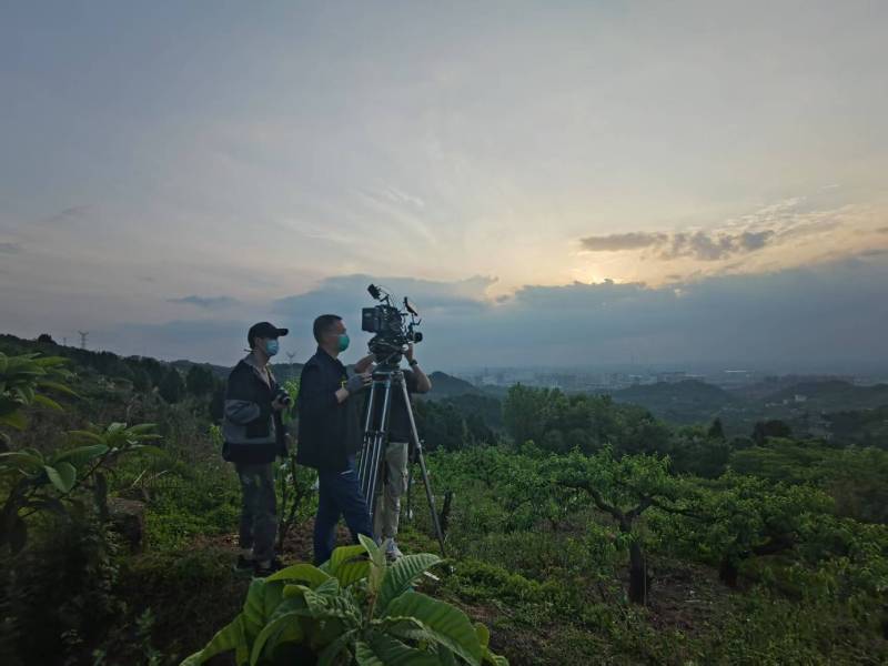创意破圈！茂南区电商产品宣传视频用故事化叙事引爆流量