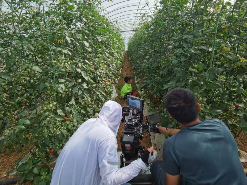 茂南区产品宣传视频拍摄公司进阶指南，助力品牌抢占传播高地